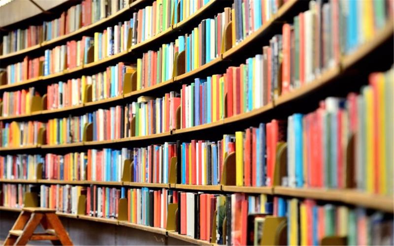 《公共图书馆法》出台:政府买单 民众看书全免费