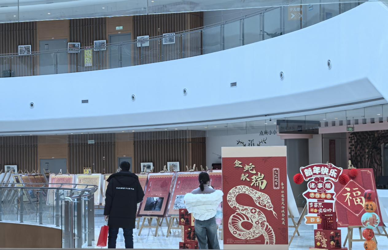 “金蛇献瑞 书香迎春” 2025 年春节主题展览
